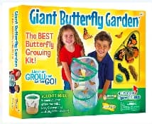 Insect Lore Caterpillars to Butterfly Kit